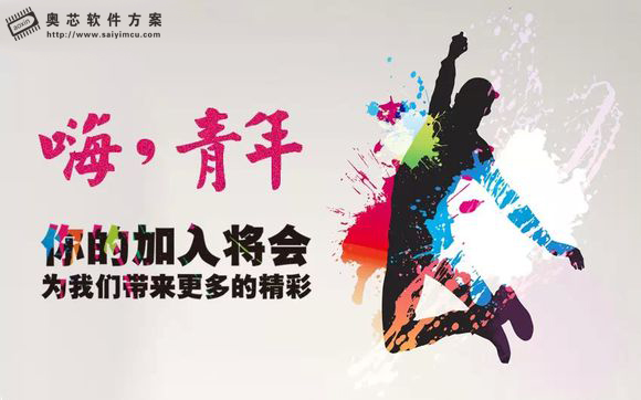 奥芯软件方案开发